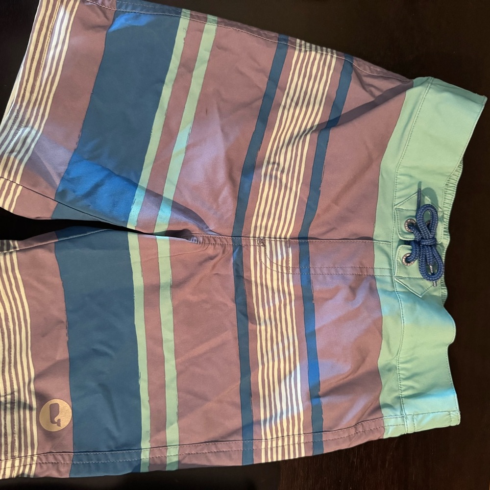 Boys Vineyard Vines Striped Blue and Green Board Short Swim Trunks